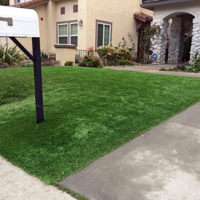 Synthetic Grass Lake Butler, Florida Garden Ideas, Front Yard Ideas