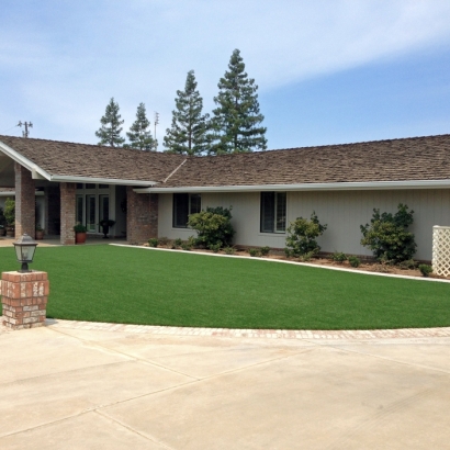 Synthetic Grass Shady Hills, Florida Lawn And Landscape, Front Yard Landscape Ideas