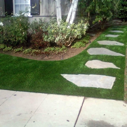 Synthetic Lawn Gibsonton, Florida Rooftop, Front Yard Landscape Ideas