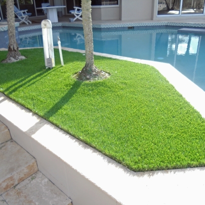 Synthetic Lawn Lake Wales, Florida Landscaping Business, Backyard Landscape Ideas