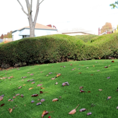 Synthetic Turf Holiday, Florida Lawns, Small Front Yard Landscaping