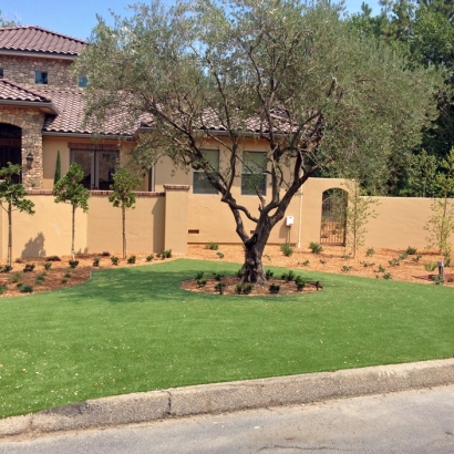 Synthetic Turf Jasmine Estates, Florida Landscaping, Landscaping Ideas For Front Yard