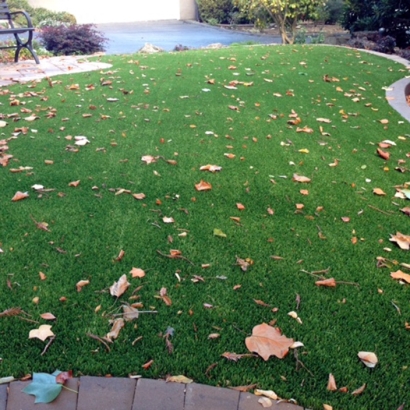 Synthetic Turf Pelican Bay, Florida Roof Top, Front Yard Landscape Ideas