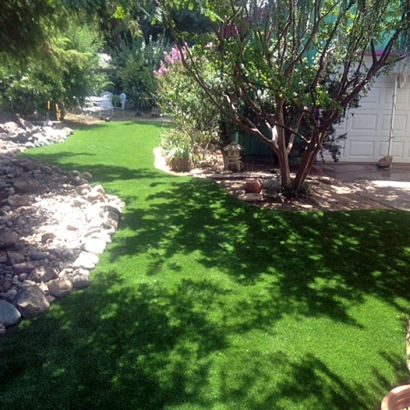 Synthetic Turf Riverview, Florida Backyard Deck Ideas, Backyards