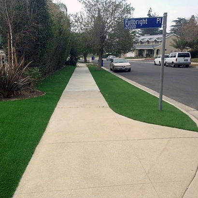 Synthetic Turf Siesta Key, Florida City Landscape, Front Yard Landscape Ideas