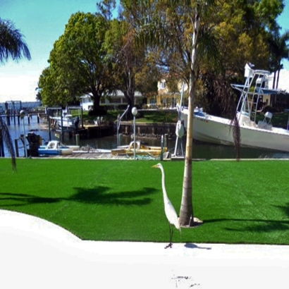 Synthetic Turf South Gate Ridge, Florida City Landscape, Backyard Landscaping