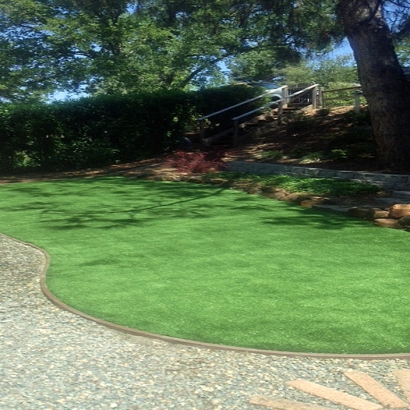 Synthetic Turf Supplier Bonita Springs, Florida Lawns, Backyard Makeover