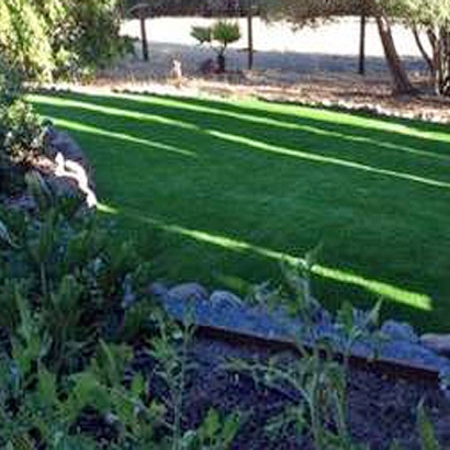 Synthetic Turf Supplier Ojus, Florida Landscape Photos, Backyard Makeover