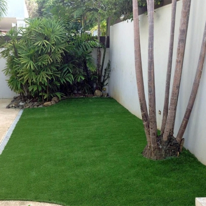 Turf Grass Bellair-Meadowbrook Terrace, Florida Lawn And Landscape, Backyard