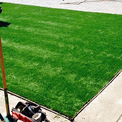 Turf Grass Westchester, Florida Lawns