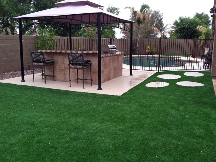 Artificial Grass Auburndale, Florida City Landscape, Backyard Landscaping