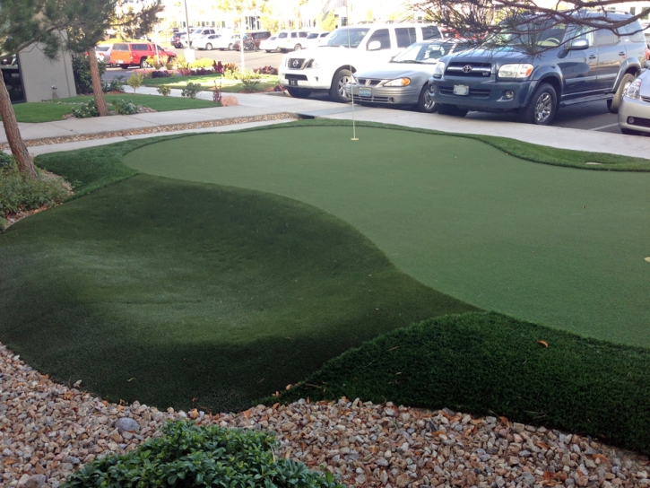 Artificial Grass Bartow, Florida Landscaping Business, Commercial Landscape