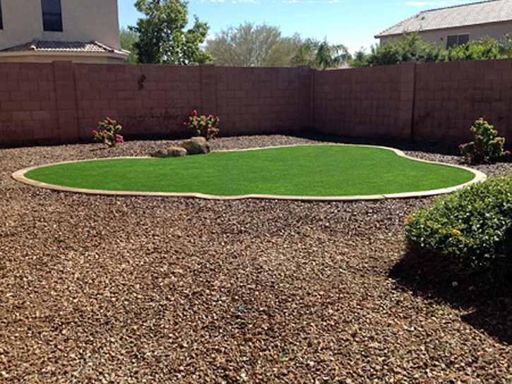 Artificial Grass Carpet Fairview Shores, Florida Landscape Photos, Small Backyard Ideas