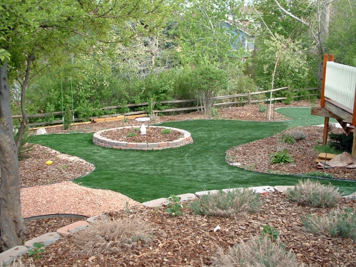 Artificial Grass Carpet Floral City, Florida Design Ideas, Backyard Design