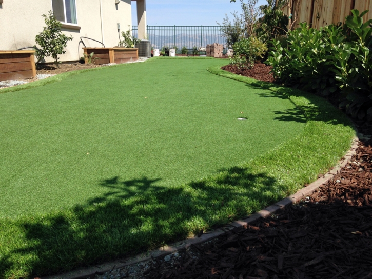 Artificial Grass Carpet Indiantown, Florida Landscaping, Small Backyard Ideas