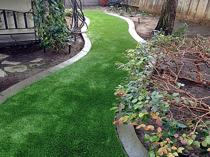 Artificial Grass Carpet Mims, Florida Landscaping, Backyards