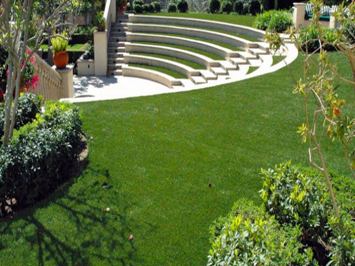 Artificial Grass Carpet Naples Park, Florida Landscape Photos