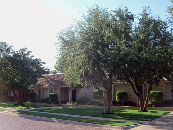 Artificial Grass Carpet Palm Springs, Florida Lawns, Front Yard