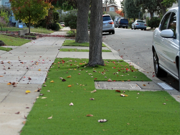 Artificial Grass Carpet Pine Castle, Florida Landscaping Business, Front Yard Design