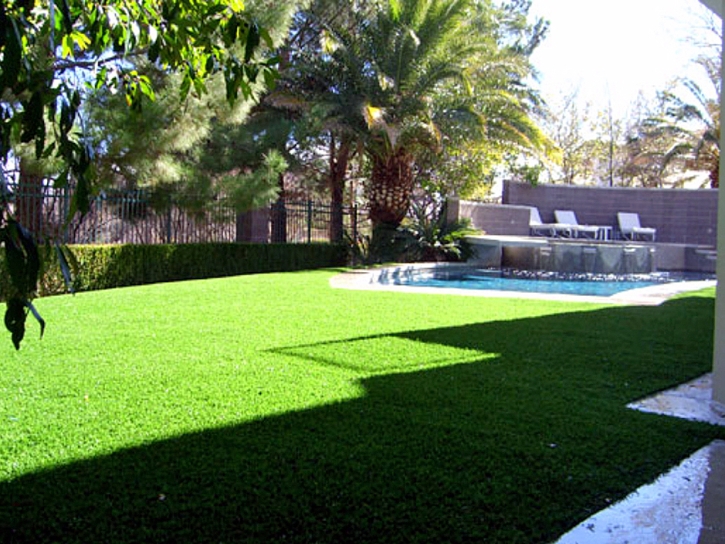 Artificial Grass Carpet Pinellas Park, Florida Landscape Photos, Backyard Designs