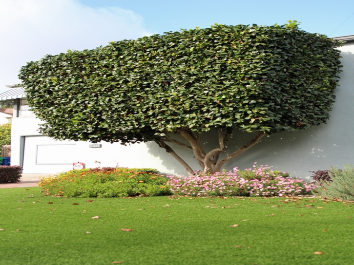 Artificial Grass Carpet Port Salerno, Florida City Landscape, Front Yard Design