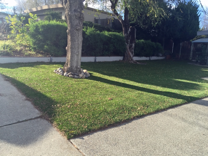 Artificial Grass Carpet Sanford, Florida Backyard Deck Ideas, Front Yard Ideas