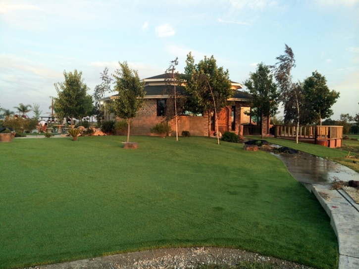 Artificial Grass Carpet Seffner, Florida Lawn And Landscape, Commercial Landscape