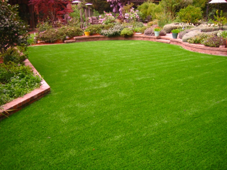 Artificial Grass Carpet South Daytona, Florida City Landscape, Backyard