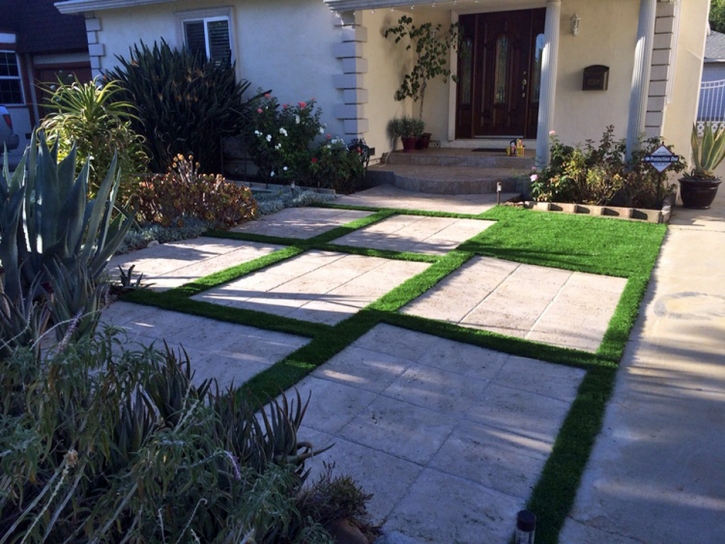 Artificial Grass Carpet Southeast Arcadia, Florida Backyard Deck Ideas, Front Yard Ideas