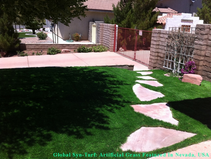 Artificial Grass Carpet Venice, Florida Garden Ideas, Front Yard Landscape Ideas