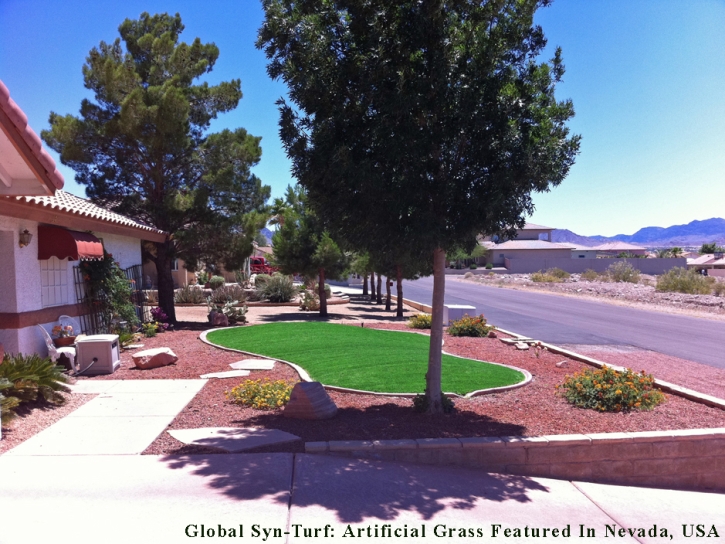 Artificial Grass Carpet Wauchula, Florida Landscaping Business, Small Front Yard Landscaping