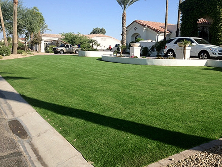 Artificial Grass Carpet Winter Garden, Florida Landscape Ideas, Front Yard Design