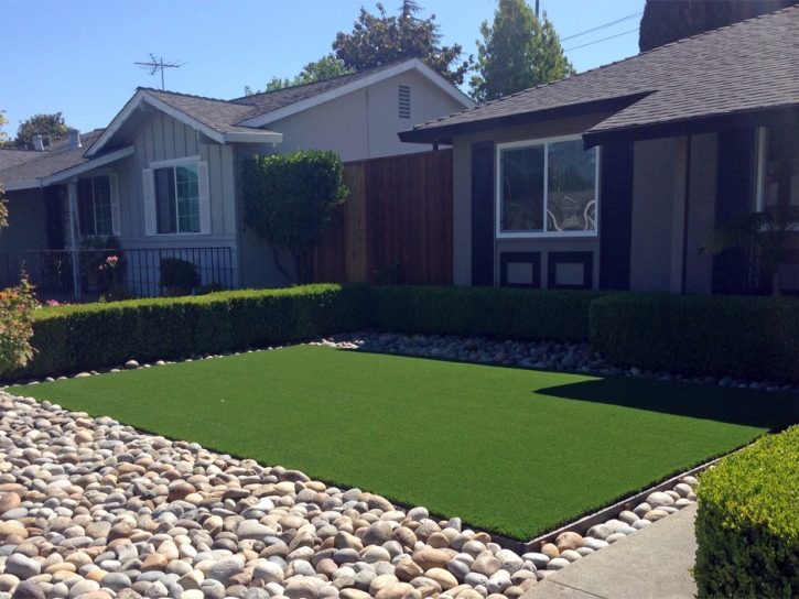 Artificial Grass Clewiston, Florida Landscape Photos, Front Yard Ideas