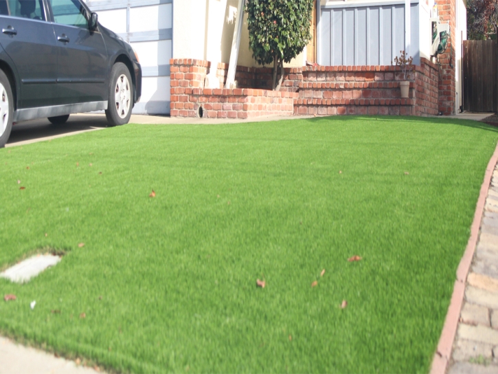 Artificial Grass Conway, Florida Lawn And Garden, Front Yard Landscaping Ideas