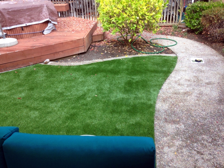 Artificial Grass Elfers, Florida Landscape Photos, Small Backyard Ideas