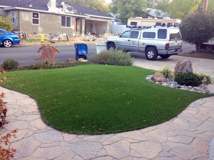 Artificial Grass Fish Hawk, Florida Paver Patio, Front Yard Landscaping Ideas