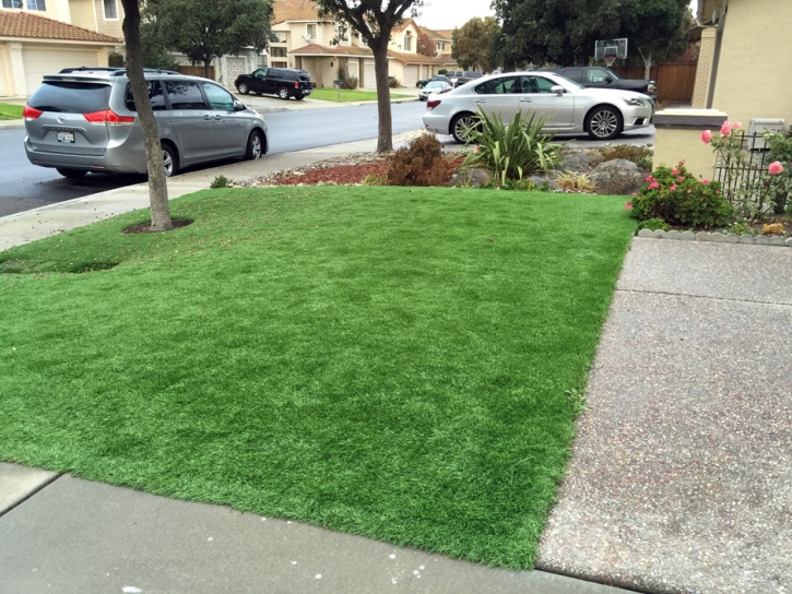 Artificial Grass Gifford, Florida Home And Garden, Landscaping Ideas For Front Yard