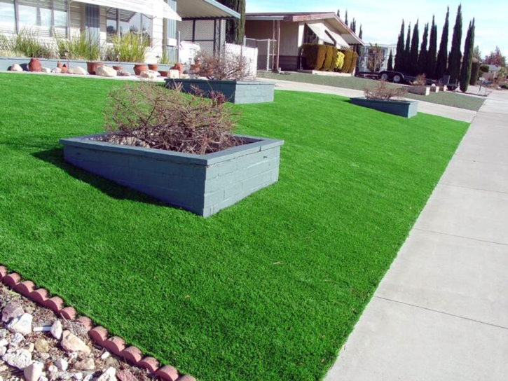 Artificial Grass Golden Lakes, Florida Landscaping, Small Front Yard Landscaping