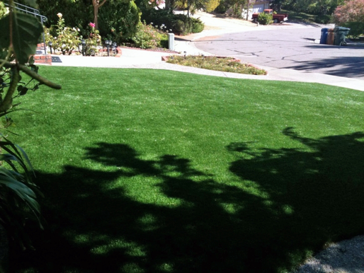 Artificial Grass Installation Lehigh Acres, Florida Lawn And Garden, Front Yard Ideas