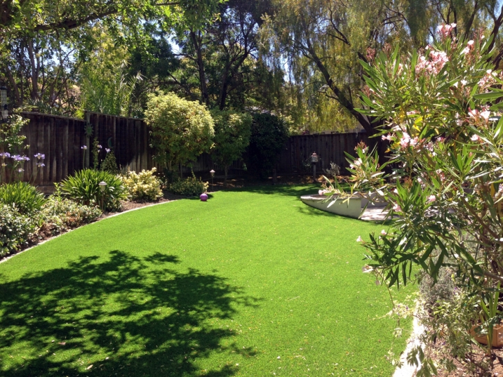 Artificial Grass Installation Pinellas Park, Florida Landscape Design, Beautiful Backyards