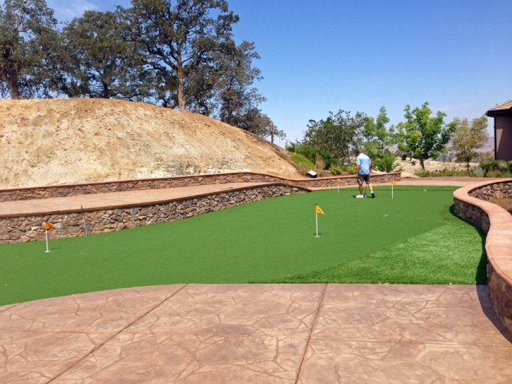 Artificial Grass Ives Estates, Florida Backyard Putting Green, Backyard Designs