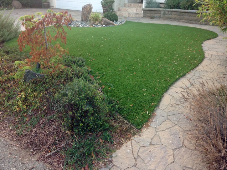 Artificial Grass New Port Richey East, Florida Dog Pound, Backyard Landscape Ideas