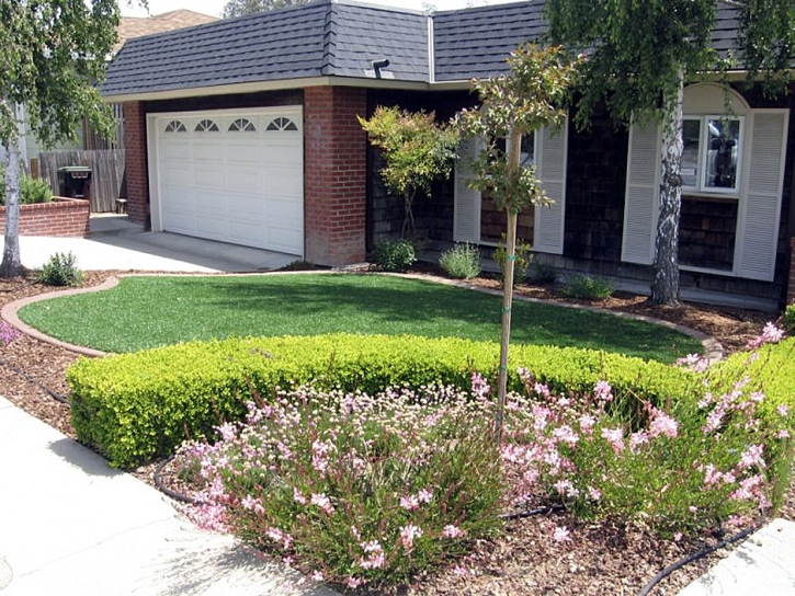 Artificial Grass North Palm Beach, Florida Design Ideas, Front Yard Design