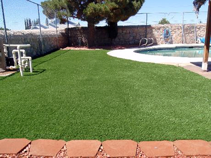 Artificial Grass Southchase, Florida Dogs, Backyard Pool