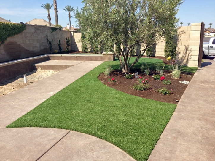 Artificial Lawn Cheval, Florida Landscape Photos, Landscaping Ideas For Front Yard