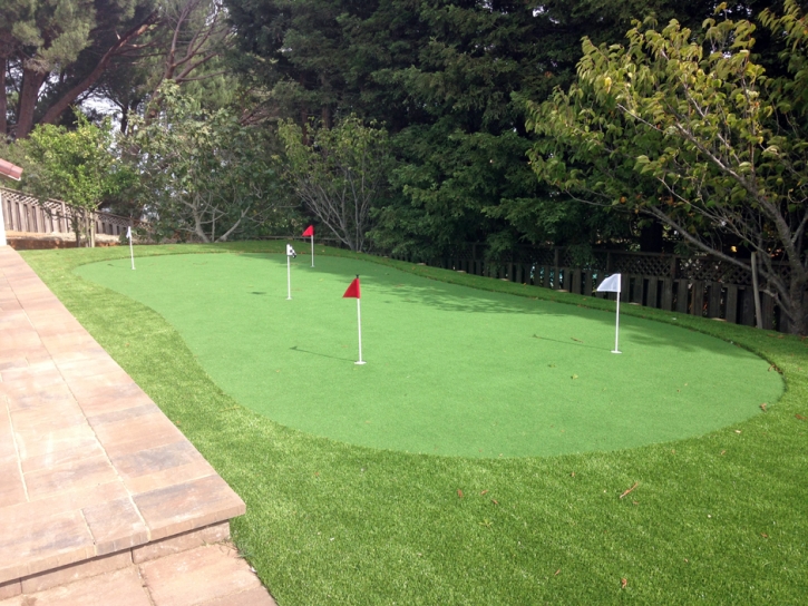 Artificial Lawn Fernandina Beach, Florida Putting Green, Backyards