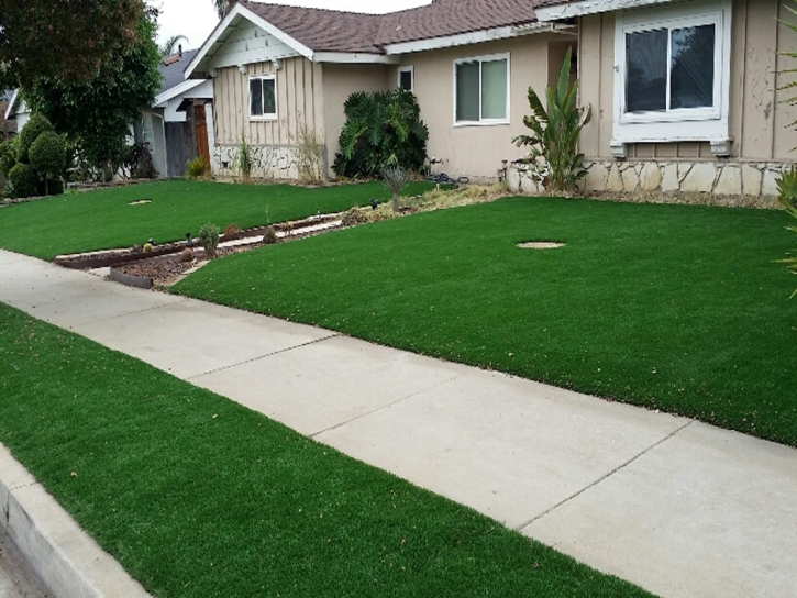 Artificial Turf Cost Key Biscayne, Florida Lawn And Landscape, Front Yard Landscape Ideas