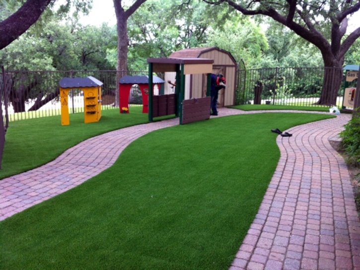 Artificial Turf Cost Lake Magdalene, Florida Landscape Ideas, Commercial Landscape