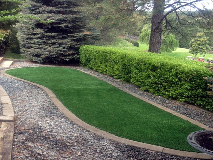 Artificial Turf Cost Okeechobee, Florida Roof Top