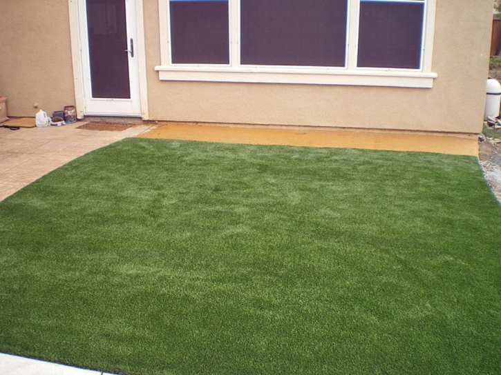 Artificial Turf Fort Pierce South, Florida Design Ideas, Backyard Makeover